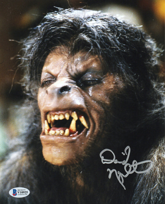 David Naughton-David Kessler-American Werewolf in London-signed 8x10 (Beckett2)